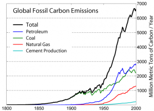 Global carbon emission by type