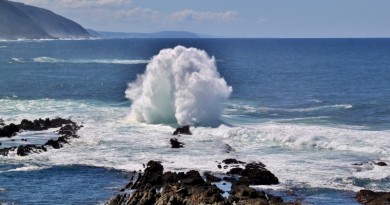 Ocean energy - Wave